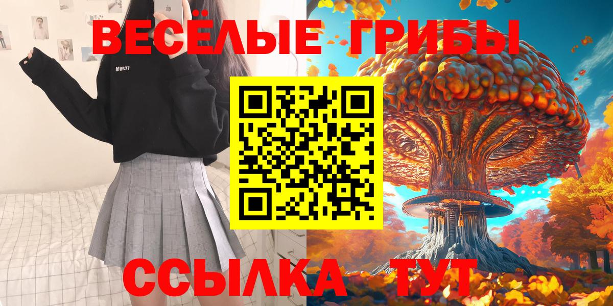 Псилоцибиновые грибы GOLDEN TEACHER  Вход с VPN  Долгопрудный 