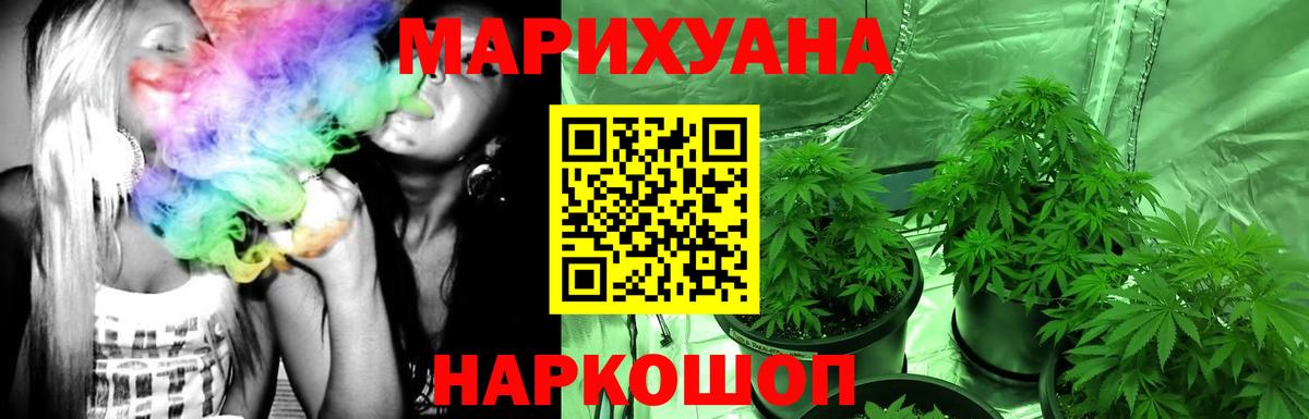 Бошки Шишки MAZAR Долгопрудный